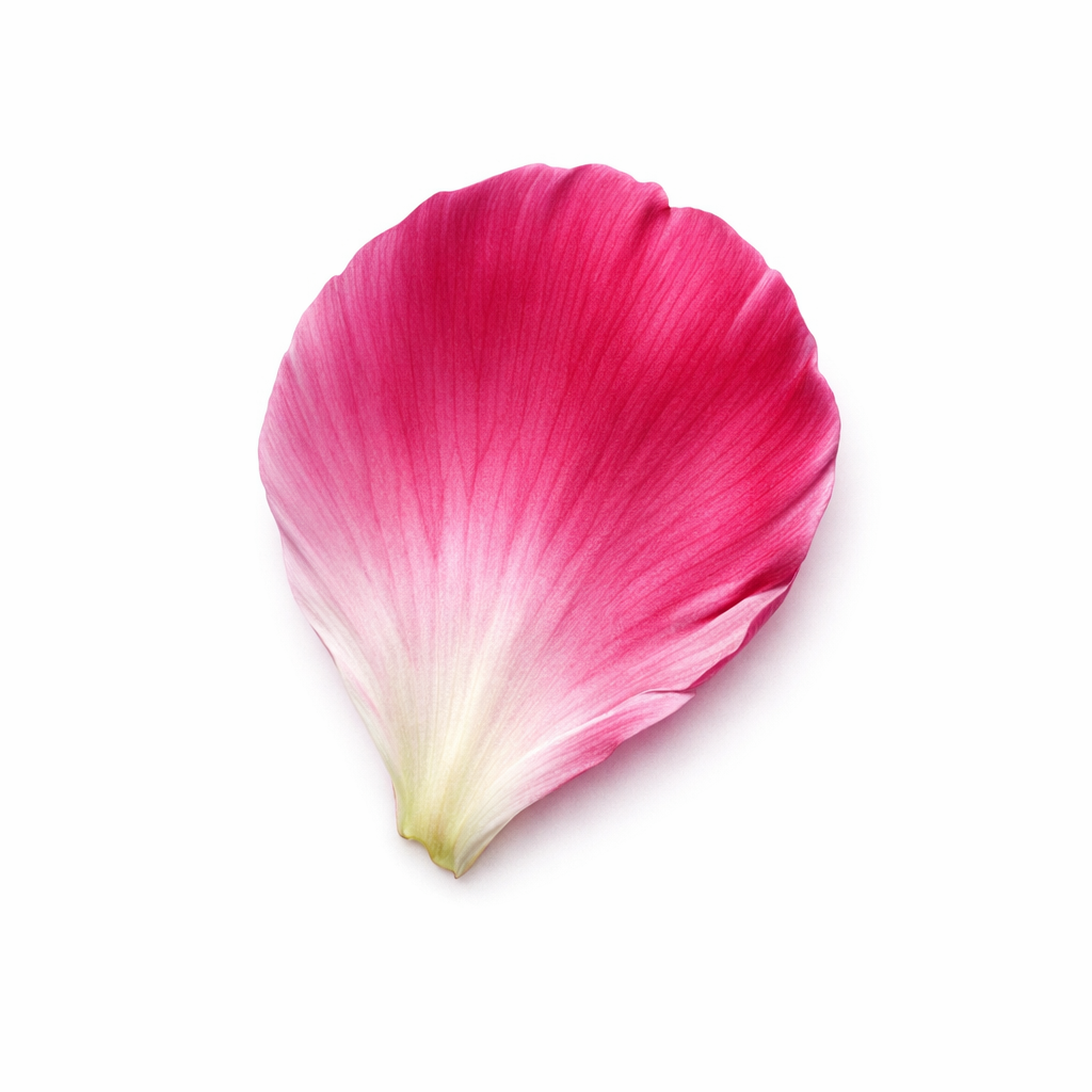 Blomst Realisme tatoveringsdesign
