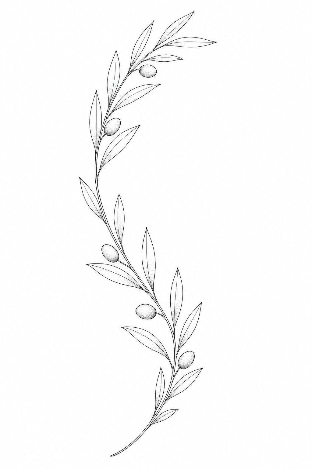 A minimalist fine-line olive branch with simple leaves, designed to wrap subtly around the knee or arm.